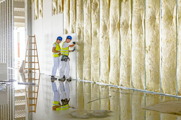 Best Specialty Insulation in Evansville, WY